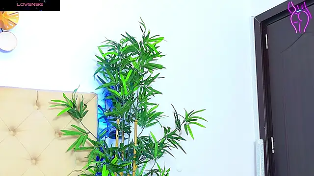 Snapshot of CoraVex chatting on September 17, 2025, 4:25 am CoraVex online show from September 17, 2025, 4:25 am