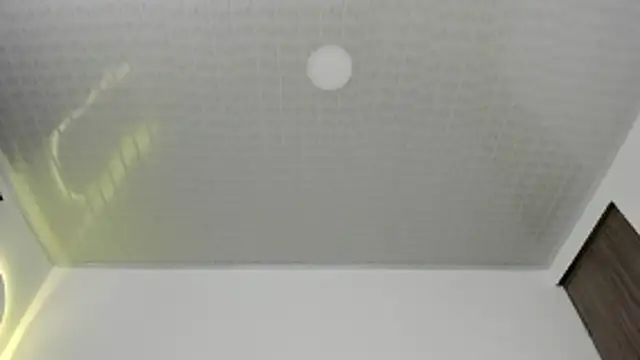 Snapshot of brandy_h9 chatting on January 17, 2026, 3:11 am brandy h9 online show from January 17, 2026, 3:11 am