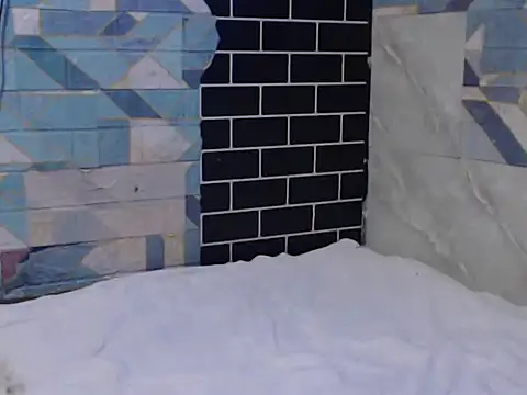 Newt4U online show from November 11, 2025, 10:04 am