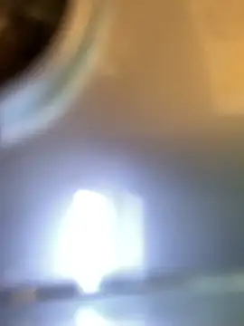 miumiu-66 online show from April 24, 2026, 9:12 am