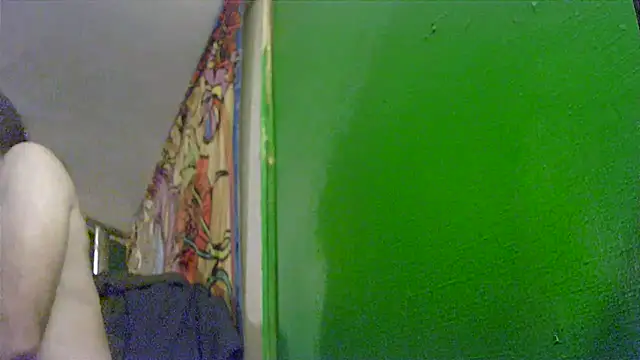 HippieDad333 online show from November 25, 2025, 8:36 am