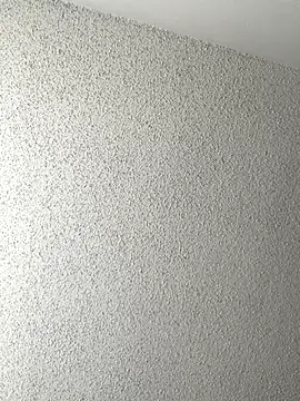 BuzzBunni69 online show from November 29, 2025, 7:50 pm