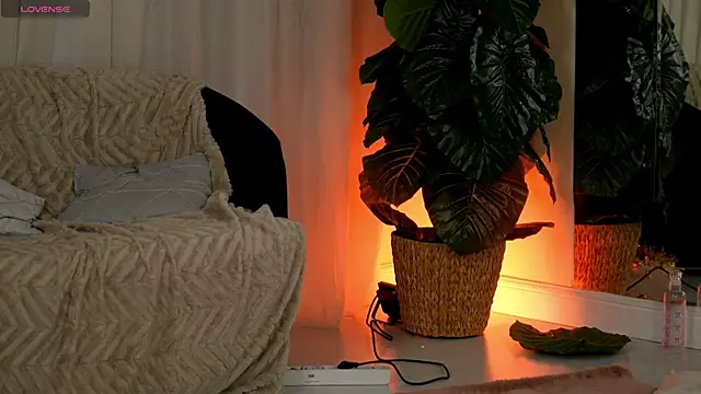 EvaAmanti online show from January 11, 2026, 4:39 am