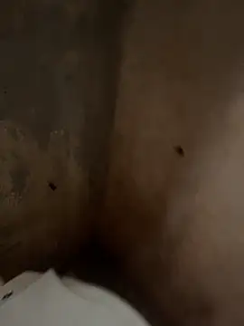 favelado33 online show from September 26, 2025, 4:22 pm