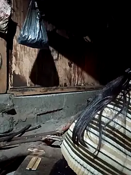 bree-zz online show from March 12, 2026, 10:16 pm