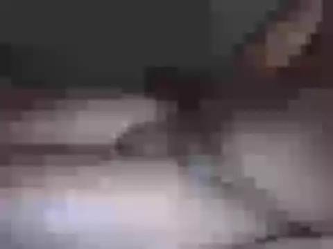 Hhhggghrrr3219 online show from March 17, 2026, 7:17 pm