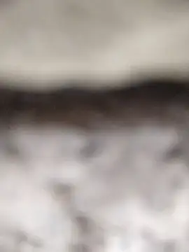 PEEHU-50 online show from March 12, 2026, 2:18 am