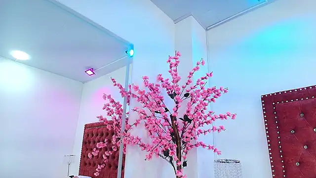 Gabriela milani online show from February 4, 2026, 11:49 am