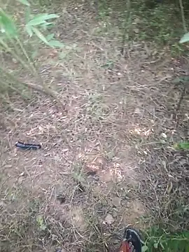 Snapshot of Aadityaaa07 chatting on November 11, 2025, 5:40 am Aadityaaa07 online show from November 11, 2025, 5:40 am