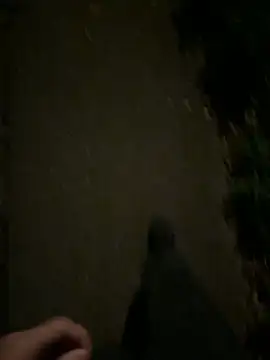 Snapshot of ncjuice_ chatting on October 31, 2025, 10:00 pm ncjuice  online show from October 31, 2025, 10:00 pm