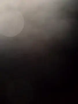 Payarkanasa online show from November 28, 2025, 9:45 am