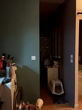 bebecita x online show from November 14, 2025, 6:28 pm