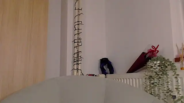 adacgrey online show from February 20, 2026, 4:29 pm