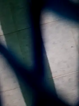 Snapshot of Neilhot98 chatting on November 16, 2025, 7:03 am Neilhot98 online show from November 16, 2025, 7:03 am