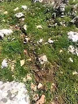 Sert erkek21 ysm online show from March 24, 2026, 11:26 am