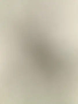 Anchal-8798 online show from December 17, 2025, 6:14 pm