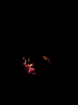 Snapshot of Floridaboy863 chatting on February 5, 2026, 3:33 am Floridaboy863 online show from February 5, 2026, 3:33 am