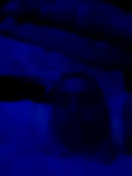 sexdol2 online show from March 22, 2026, 9:13 am