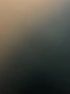 Siya-20 online show from January 15, 2026, 8:41 am