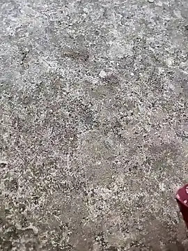 Snapshot of play_boy-raj007 chatting on November 2, 2025, 10:17 am play boy-raj007 online show from November 2, 2025, 10:17 am