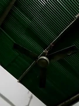 Jessica-03 online show from December 16, 2025, 8:25 pm