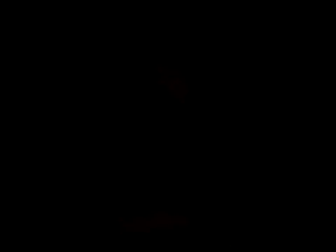 YoussefAl-Fahl online show from October 15, 2025, 10:21 pm