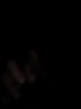 Kiotes online show from December 21, 2025, 7:48 am