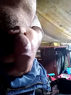 Cogelonregio online show from February 5, 2026, 6:12 pm