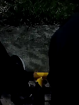 roludao fun online show from November 5, 2025, 10:32 pm