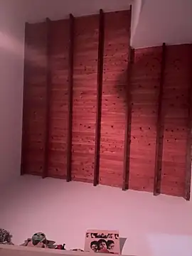 Snapshot of valeriahornier chatting on March 24, 2026, 4:06 am valeriahornier online show from March 24, 2026, 4:06 am