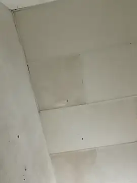 Snapshot of chikis12_ chatting on November 22, 2025, 8:52 pm chikis12 online show from November 22, 2025, 8:52 pm