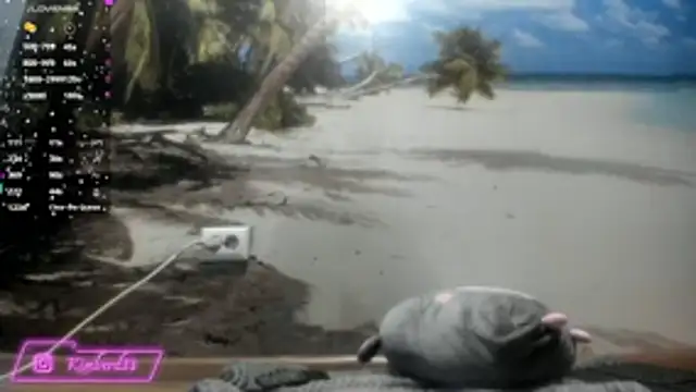 kimberd33 online show from February 26, 2026, 3:11 pm