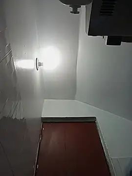 celeste 83 online show from October 27, 2025, 4:22 pm