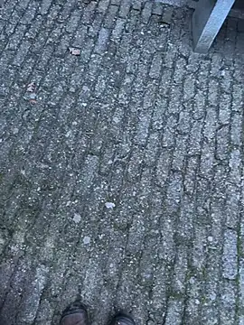 bart98geil online show from February 14, 2026, 6:54 am