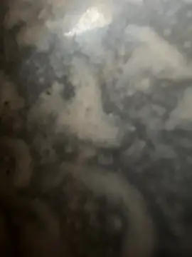 bart98geil online show from February 16, 2026, 7:26 am