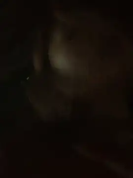 Lara-11 online show from February 14, 2026, 6:43 am