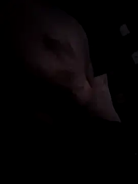 Djemi 7 online show from March 4, 2026, 2:39 am