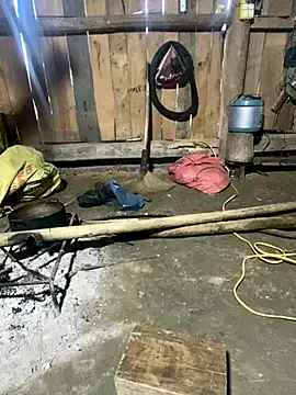 nachi-baby online show from December 14, 2025, 8:52 am