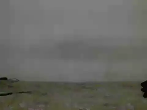 alexwhitestraight7 online show from May 21, 2026, 3:41 pm