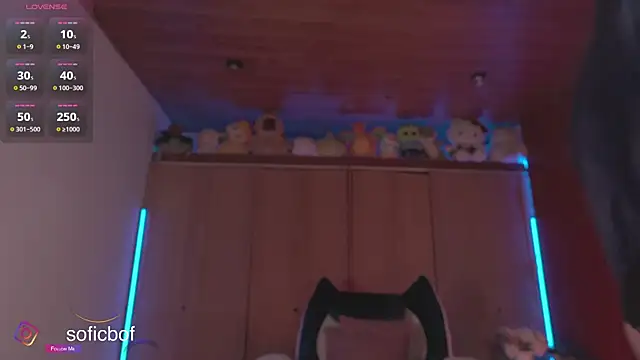 sofi sc online show from November 21, 2025, 5:44 pm