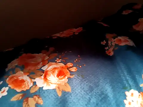 bigtelugubhama online show from February 12, 2026, 5:24 am