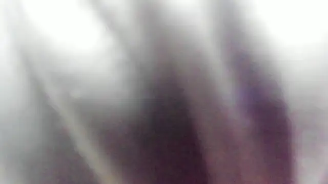 Snapshot of wild_best chatting on February 16, 2026, 3:19 pm wild best online show from February 16, 2026, 3:19 pm