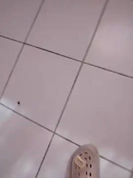 Snapshot of HomeyVending chatting on November 11, 2025, 4:18 pm HomeyVending online show from November 11, 2025, 4:18 pm