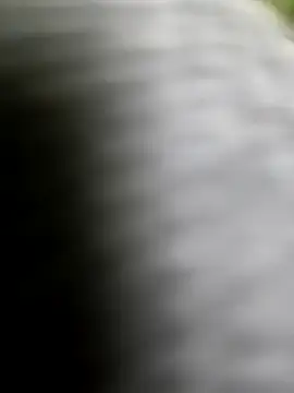 playboy210600 online show from February 5, 2026, 2:33 pm