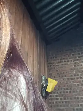 Snapshot of HGiasexy69 chatting on November 2, 2025, 10:23 pm HGiasexy69 online show from November 2, 2025, 10:23 pm