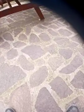 pino870 online show from March 29, 2026, 1:55 pm