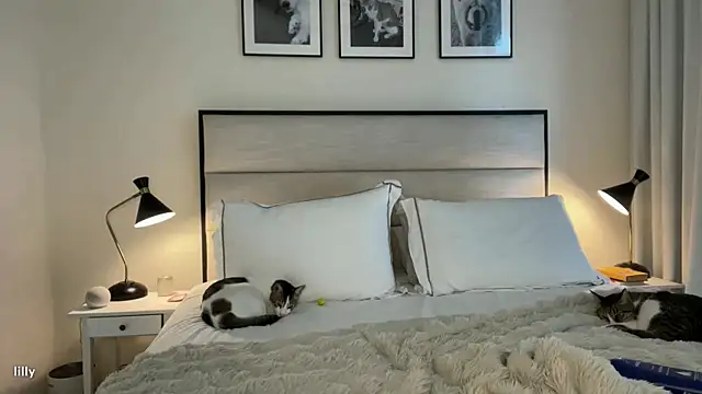 Snapshot of Itslillybloom chatting on November 7, 2025, 4:23 am Itslillybloom online show from November 7, 2025, 4:23 am