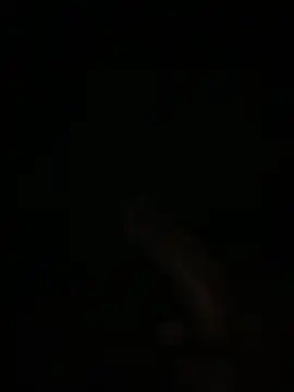 Manfredini607452 online show from February 4, 2026, 1:11 am