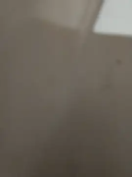 magro248 online show from November 22, 2025, 8:30 pm