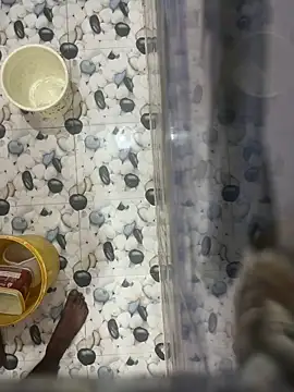 Snapshot of nehasharmanewgirl chatting on November 3, 2025, 6:31 pm nehasharmanewgirl online show from November 3, 2025, 6:31 pm